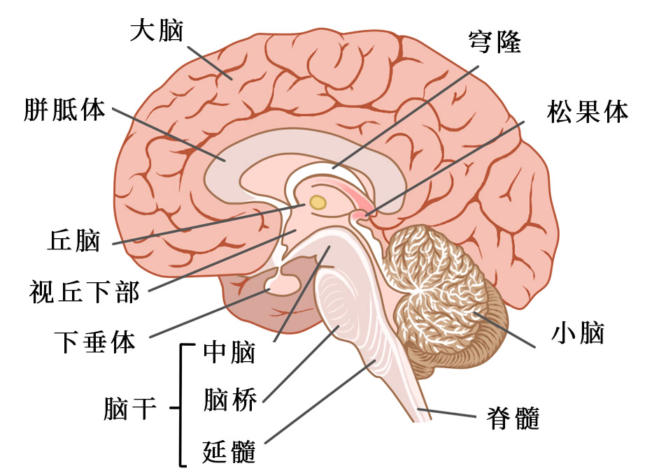 眼字组词大全简单_眼字组词语_眼组词四个字