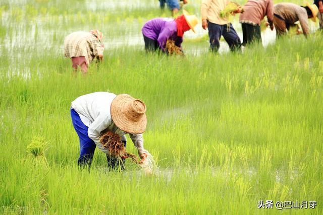 民族风连衣裙长款棉麻_民族风秋冬棉麻连衣裙_连衣裙民族款风长棉麻的好看吗