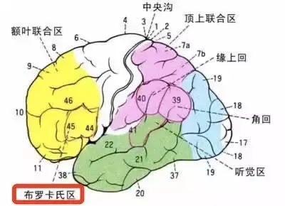 三个月的宝宝黑白颠倒_黑白颠倒宝宝月经不正常_黑白颠倒的宝宝如何纠正