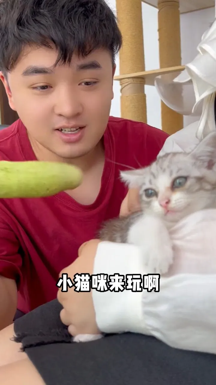 视频猫说话会被发现吗_猫会说话视频短片_会说话的猫视频