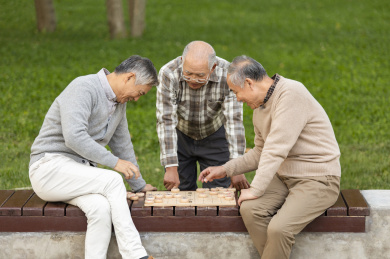 新中国象棋免费下载_我要下载新中国象棋_下载象棋中国新象棋