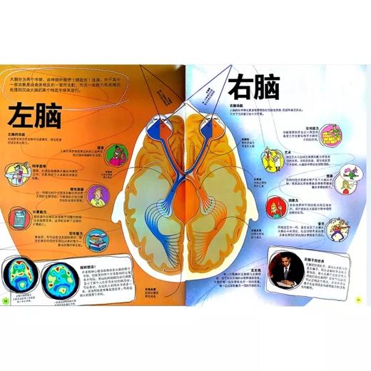 30种大脑训练方法txt_大脑训练的好处和方法_大脑训练法书籍