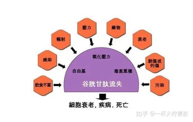 授课到天亮chu 动漫-授课到天亮 chu：动漫爱好者的青春回忆与梦想追求