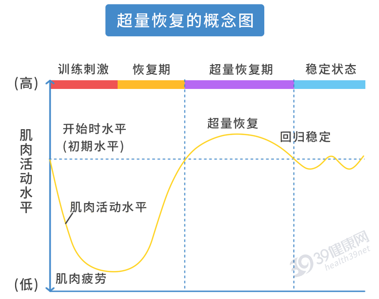 大腿肌肉在跳动_大腿肌肉跳动是什么意思_大腿一个地方肌肉跳动