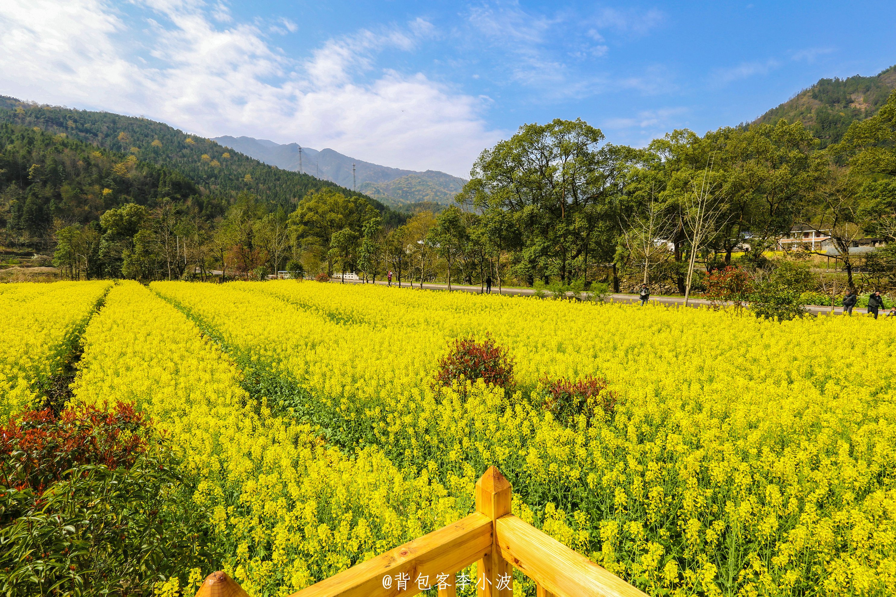 临淄区绿茵花园物业电话_临淄绿茵花园在哪里_淄博绿茵花园