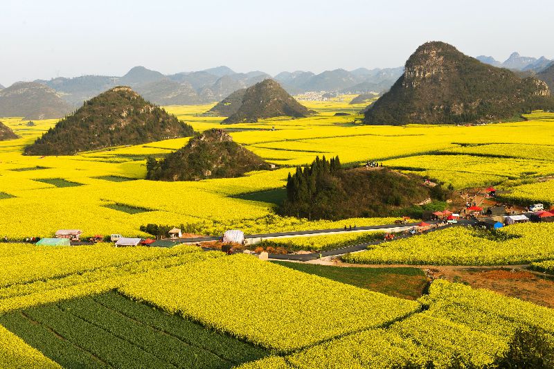 临淄绿茵花园在哪里_淄博绿茵花园_临淄区绿茵花园物业电话