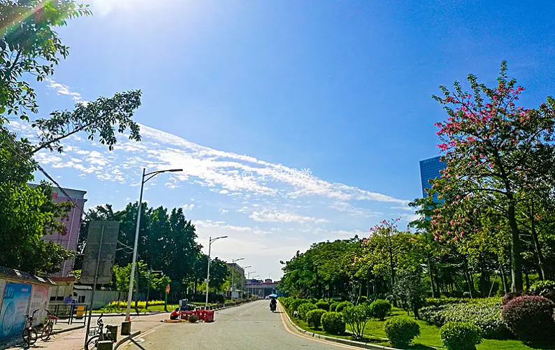 小花鼠看望朋友_小花鼠看望朋友_小花鼠看望朋友