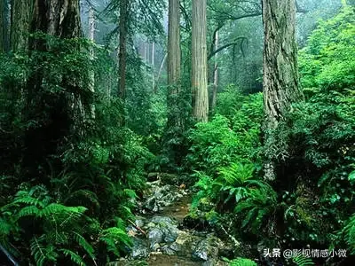 天地劫外传寰神结五内_天地劫寰神结五内加点_天地劫寰神结五内