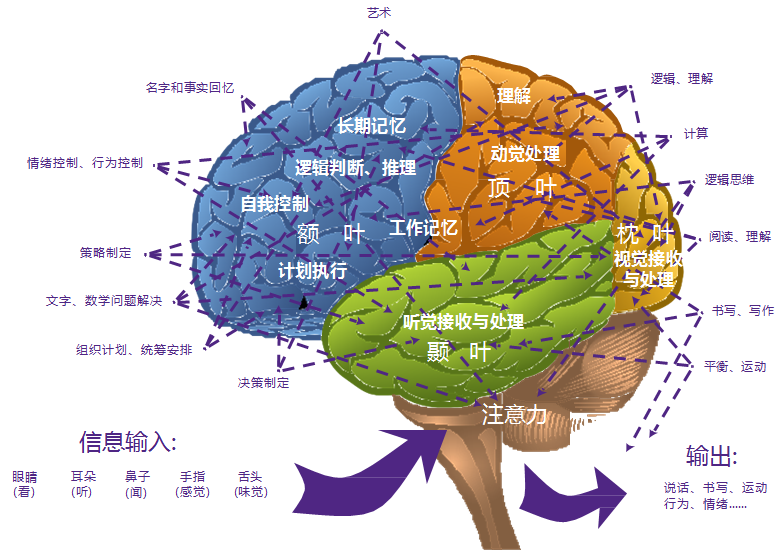 脑力开发训练游戏_脑力训练的游戏_脑力训练开发游戏有哪些