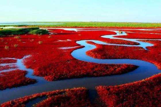 上海奉贤海滩能烧烤么_奉贤野外烧烤地方_上海可以烧烤的海边