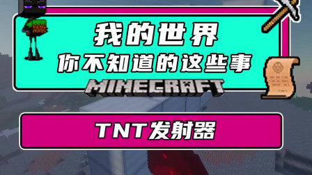 tnt那个宠物好_tnt什么职业好_tnt职业哪个好