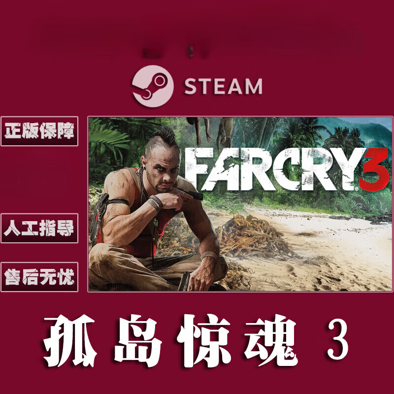 孤岛惊魂3 steam中文_孤岛惊魂中国版_孤岛惊魂有中文吗