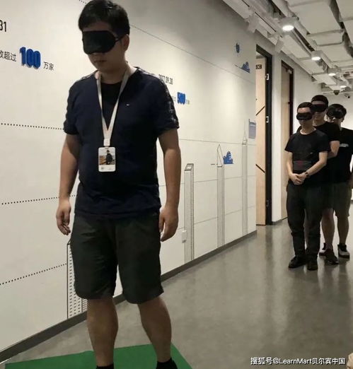 贝尔宾游戏,揭秘高效团队建设的秘密