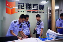 混沌西游(游戏托特权) 